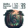 BANDO SIBILLINI SUMMER LAB