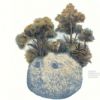 SIBILLINI SUMMER SCHOOL - selezione di 30 borse di studio